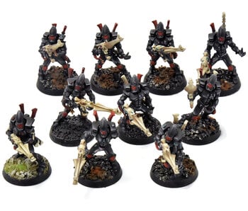 AELDARI 10 Guardians #2 PRO PAINTED Warhammer 40K