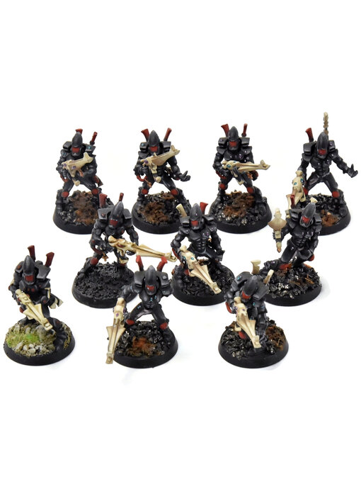 AELDARI 10 Guardians #2 PRO PAINTED Warhammer 40K