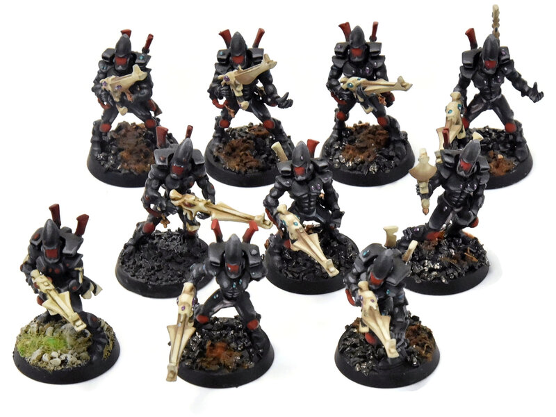 Games Workshop AELDARI 10 Guardians #2 PRO PAINTED Warhammer 40K