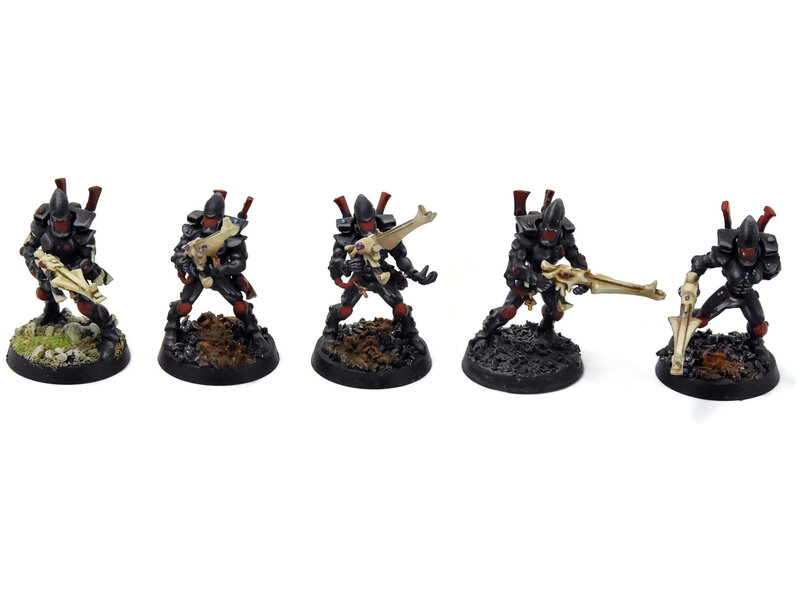 Games Workshop AELDARI 10 Guardians #2 PRO PAINTED Warhammer 40K
