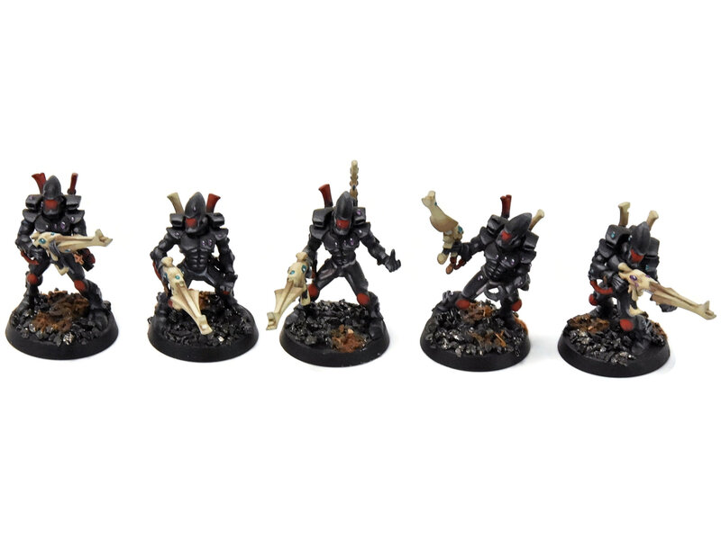 Games Workshop AELDARI 10 Guardians #2 PRO PAINTED Warhammer 40K