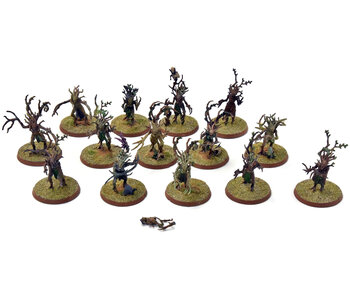 SYLVANETH 14 Dryads #3 WELL PAINTED Sigmar
