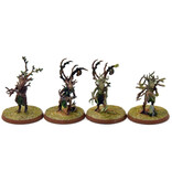 Games Workshop SYLVANETH 14 Dryads #3 WELL PAINTED Sigmar