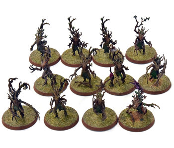 SYLVANETH 12 Dryads #2 WELL PAINTED Sigmar
