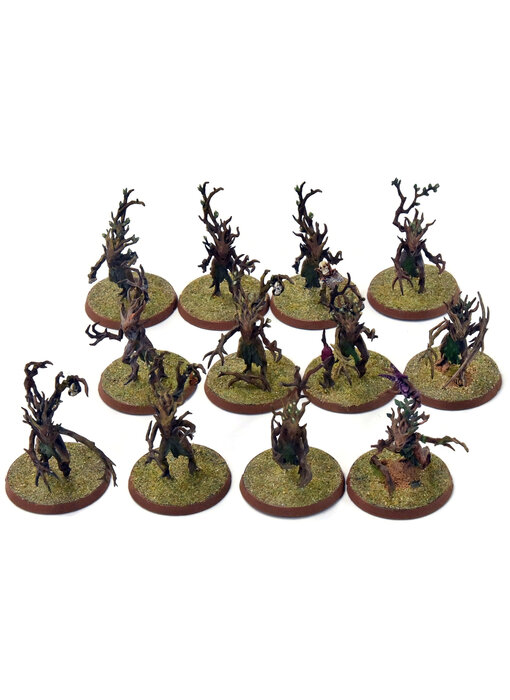 SYLVANETH 12 Dryads #2 WELL PAINTED Sigmar