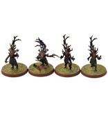 Games Workshop SYLVANETH 12 Dryads #2 WELL PAINTED Sigmar