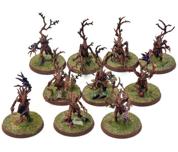 SYLVANETH 10 Dryads #1 WELL PAINTED Sigmar