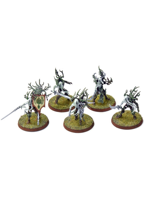 SYLVANETH 5 Tree Revenants #1 WELL PAINTED Sigmar