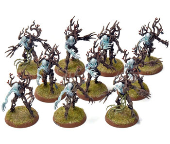 SYLVANETH 10 Spite Revenants #1 WELL PAINTED Sigmar