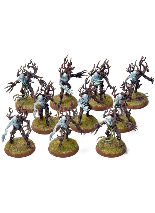 SYLVANETH 10 Spite Revenants #1 WELL PAINTED Sigmar