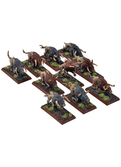 BEASTMEN 10 Chaos Warhounds #1 PRO PAINTED Fantasy