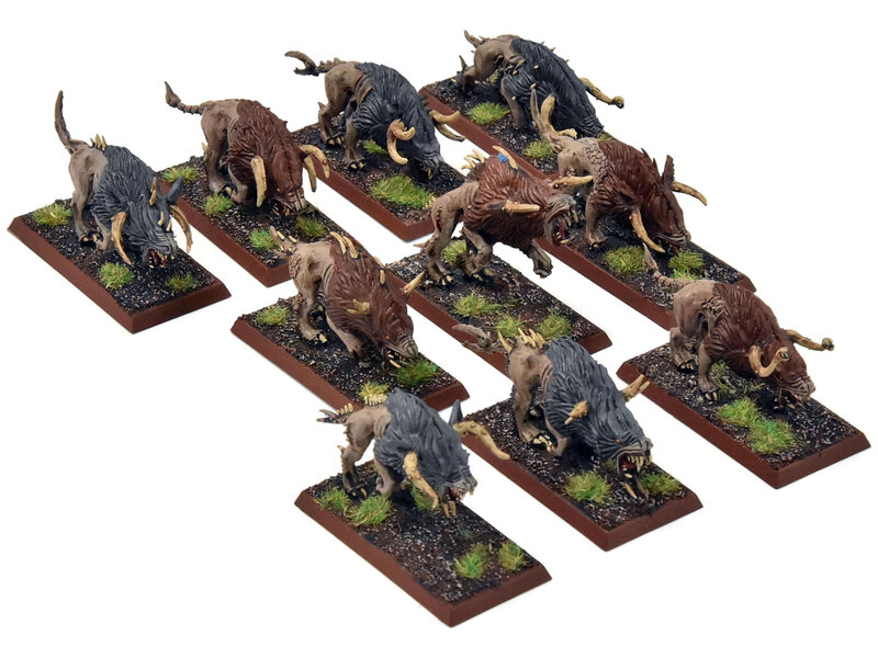Games Workshop BEASTMEN 10 Chaos Warhounds #1 PRO PAINTED Fantasy