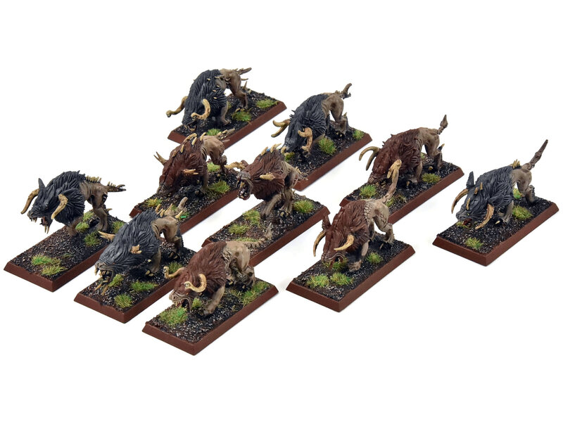 Games Workshop BEASTMEN 10 Chaos Warhounds #1 PRO PAINTED Fantasy