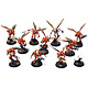 KILL TEAM  Vespid Stingwings #1 COMMISSION PRO PAINTED 40K HiveStorm