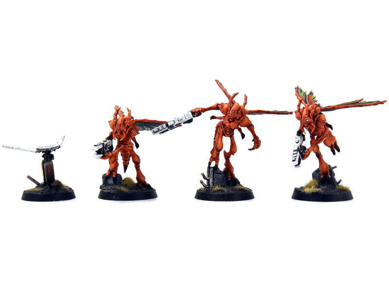 Games Workshop KILL TEAM  Vespid Stingwings #1 COMMISSION PRO PAINTED 40K HiveStorm