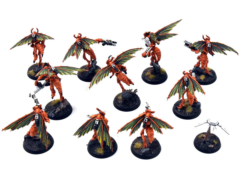 Games Workshop KILL TEAM  Vespid Stingwings #1 COMMISSION PRO PAINTED 40K HiveStorm