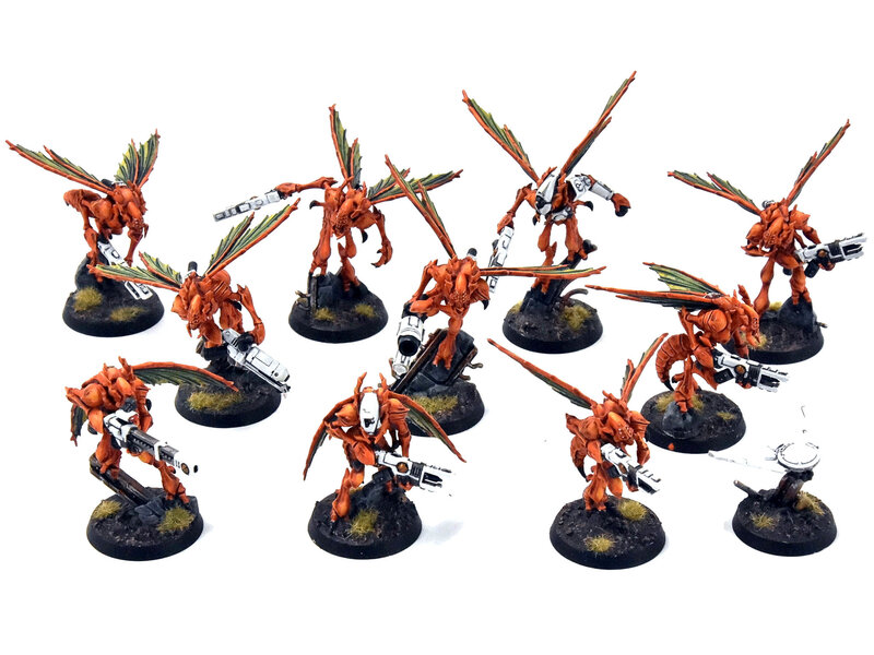 Games Workshop KILL TEAM  Vespid Stingwings #1 COMMISSION PRO PAINTED 40K HiveStorm