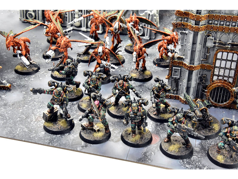 Games Workshop KILL TEAM  HIVESTORM #1 COMMISSION PRO PAINTED 40K Vespids Aquilons