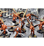 Games Workshop KILL TEAM  HIVESTORM #1 COMMISSION PRO PAINTED 40K Vespids Aquilons