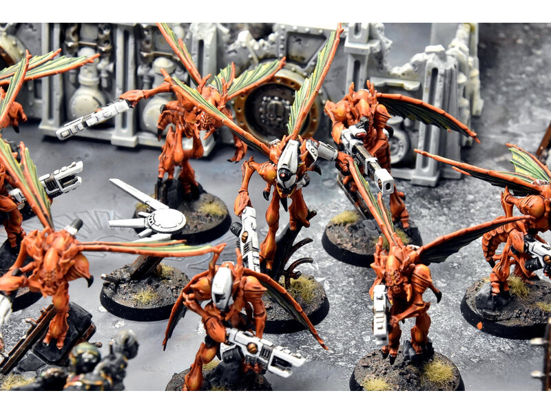 Games Workshop KILL TEAM  HIVESTORM #1 COMMISSION PRO PAINTED 40K Vespids Aquilons