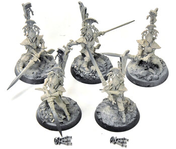 LUMINETH REALM LORDS 5 Vanari Bladelord #1 Sigmar
