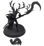 Games Workshop SYLVANETH Branchwych #1 Sigmar