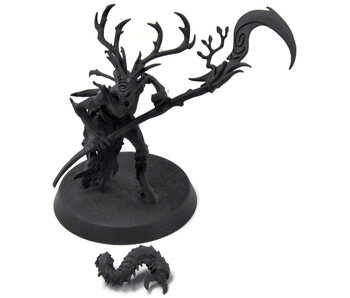 SYLVANETH Branchwych #1 Sigmar