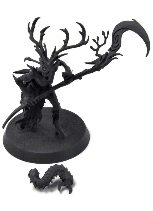 SYLVANETH Branchwych #1 Sigmar
