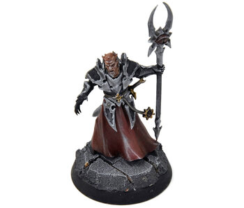 SLAVES TO DARKNESS Chaos Lord Sorcerer #1 Sigmar