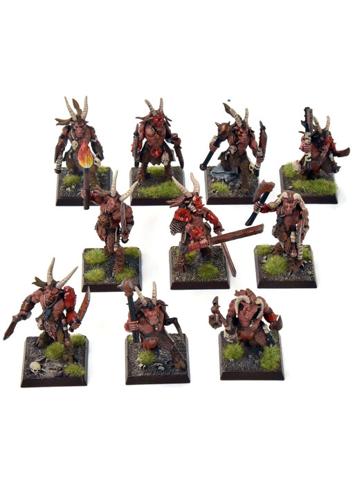 BEASTMEN 10 Gors #4 PRO-PAINTED Fantasy