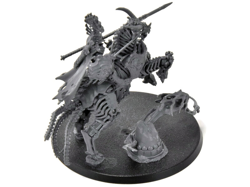 Games Workshop OSSIARCH BONEREAPERS Arch-Kavalos Zandtos #1 Sigmar