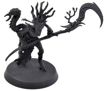 SYLVANETH Branchwych #1 Warhammer Age of Sigmar