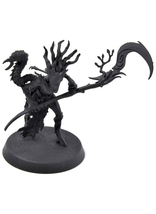 SYLVANETH Branchwych #1 Warhammer Age of Sigmar