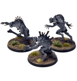 Games Workshop FLESH-EATER COURTS 3 Crypt Horrors #2 PRO PAINTED