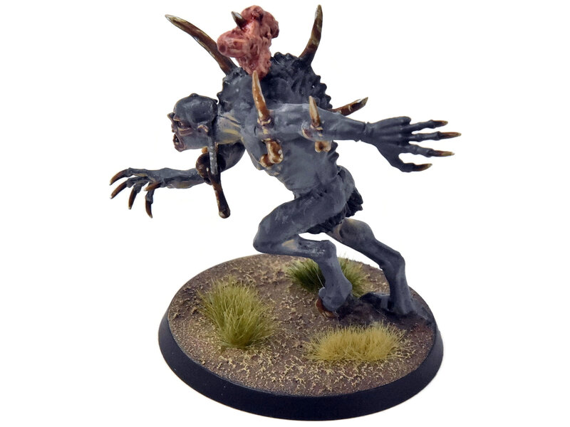 Games Workshop FLESH-EATER COURTS Crypt Horror Courtier #12 PRO PAINTED