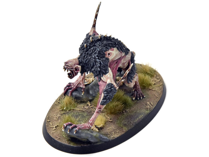 Games Workshop FLESH-EATER COURTS Varghulf Courtier #1 PRO PAINTED