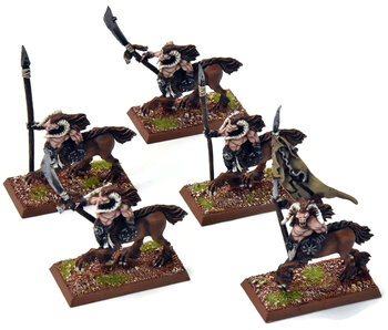 BEASTMEN 5 Centigor Herds #1 PRO PAINTED Metal