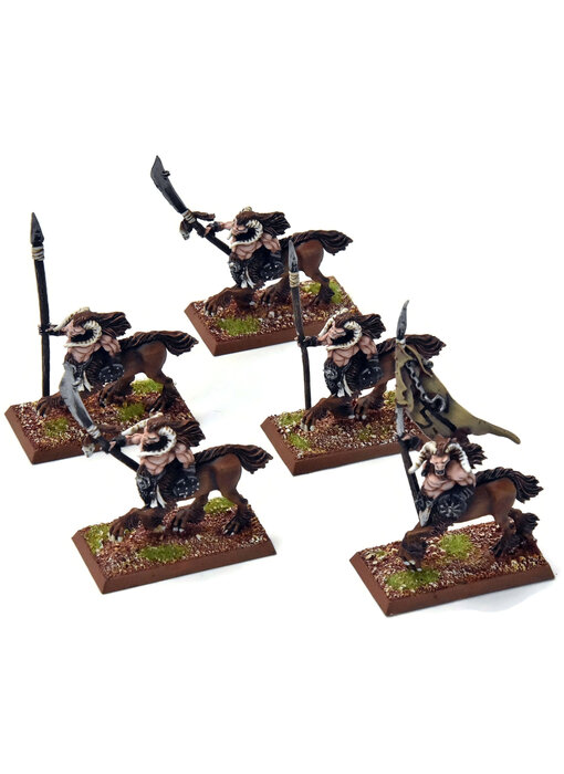 BEASTMEN 5 Centigor Herds #1 PRO PAINTED Metal