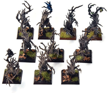 WOOD ELVES 10 Dryads #2 PRO PAINTED Warhammer Fantasy