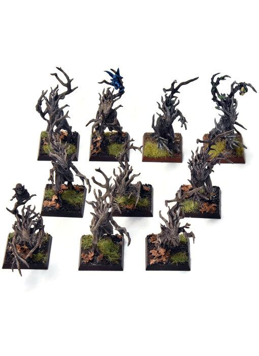 WOOD ELVES 10 Dryads #2 PRO PAINTED Warhammer Fantasy