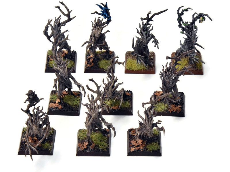 Games Workshop WOOD ELVES 10 Dryads #2 PRO PAINTED Warhammer Fantasy