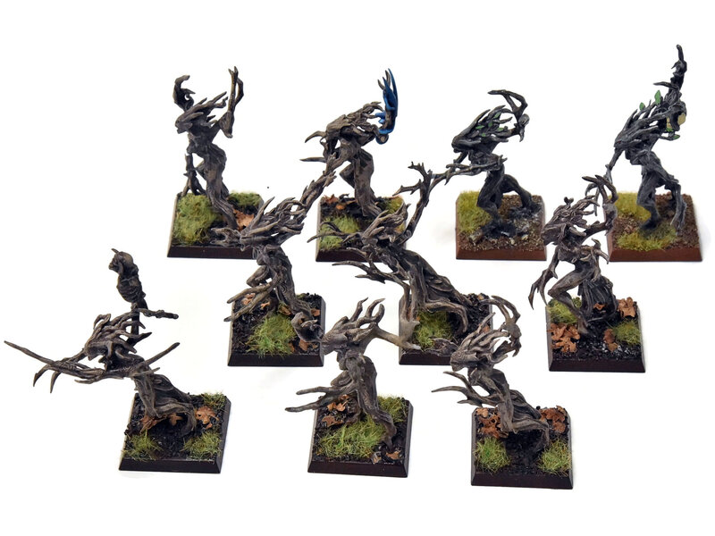 Games Workshop WOOD ELVES 10 Dryads #2 PRO PAINTED Warhammer Fantasy