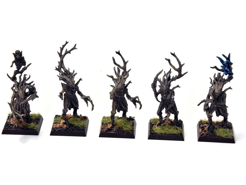 Games Workshop WOOD ELVES 10 Dryads #2 PRO PAINTED Warhammer Fantasy