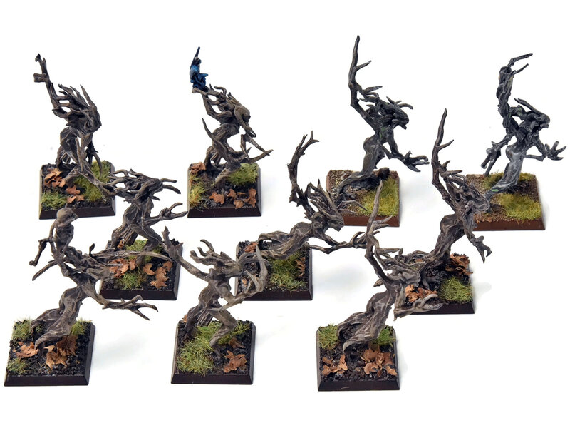 Games Workshop WOOD ELVES 10 Dryads #2 PRO PAINTED Warhammer Fantasy