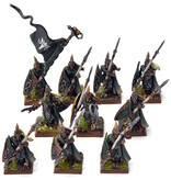 Games Workshop WOOD ELVES 10 Eternal Guards #1 PRO PAINTED Warhammer Fantasy