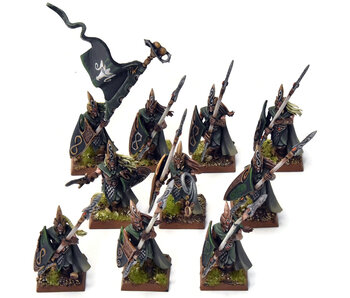 WOOD ELVES 10 Eternal Guards #1 PRO PAINTED Warhammer Fantasy