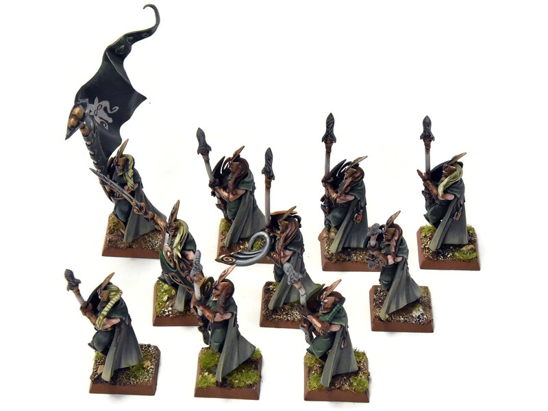 Games Workshop WOOD ELVES 10 Eternal Guards #1 PRO PAINTED Warhammer Fantasy