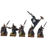 Games Workshop WOOD ELVES 10 Eternal Guards #1 PRO PAINTED Warhammer Fantasy