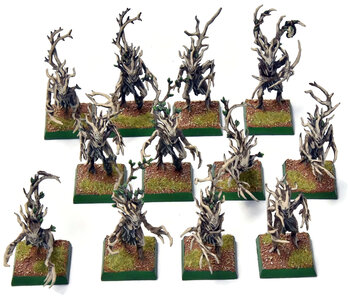 WOOD ELVES 12 Dryads #1 PRO PAINTED Warhammer Fantasy