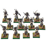 Games Workshop WOOD ELVES 12 Dryads #1 PRO PAINTED Warhammer Fantasy